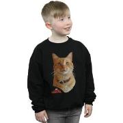 Sweat-shirt enfant Marvel BI13935