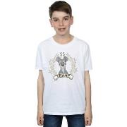 T-shirt enfant Disney Lady And The Tramp Tramp Since 55