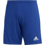 Pantalon adidas ENT 22 SHORT AZ