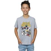 T-shirt enfant Dc Comics Heroine Or Villainess