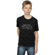 T-shirt enfant Fantastic Beasts BI17483