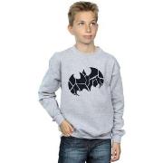 Sweat-shirt enfant Dc Comics BI14658