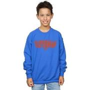 Sweat-shirt enfant Dc Comics My Hero