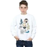 Sweat-shirt enfant Fantastic Beasts BI16681