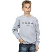 Sweat-shirt enfant Fantastic Beasts BI16757