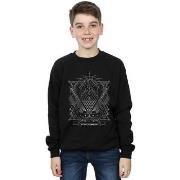 Sweat-shirt enfant Fantastic Beasts BI16773