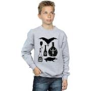 Sweat-shirt enfant Fantastic Beasts Plain Icons