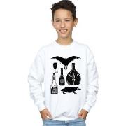 Sweat-shirt enfant Fantastic Beasts BI16774