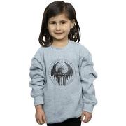 Sweat-shirt enfant Fantastic Beasts Distressed Magical Congress