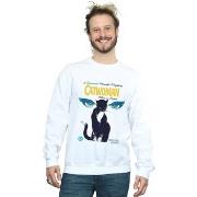 Sweat-shirt Dc Comics Batman Catwoman When In Rome