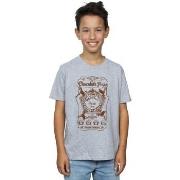 T-shirt enfant Harry Potter BI19891