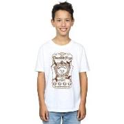 T-shirt enfant Harry Potter BI19891