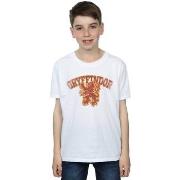 T-shirt enfant Harry Potter Gryffindor Sport Emblem