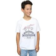 T-shirt enfant Harry Potter Quidditch At Hogwarts