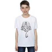 T-shirt enfant Harry Potter BI20048