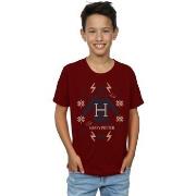 T-shirt enfant Harry Potter BI20144