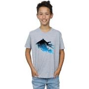 T-shirt enfant Harry Potter BI20292