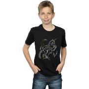 T-shirt enfant Harry Potter BI20428