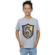 T-shirt enfant Harry Potter Hufflepuff