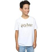 T-shirt enfant Harry Potter BI20540