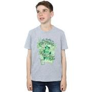T-shirt enfant Harry Potter BI20564