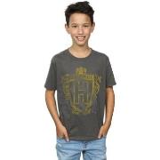 T-shirt enfant Harry Potter Hufflepuff