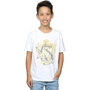 T-shirt enfant Harry Potter BI20732