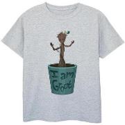 T-shirt enfant Marvel Guardians Of The Galaxy