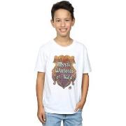 T-shirt enfant The Big Bang Theory Mystic Warlords Of Kaa