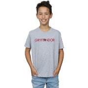 T-shirt enfant Harry Potter BI20072