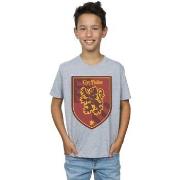 T-shirt enfant Harry Potter BI20269