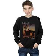 Sweat-shirt enfant Pink Floyd Animals