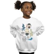 Sweat-shirt enfant Fantastic Beasts BI16996