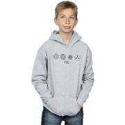 Sweat-shirt enfant Fantastic Beasts BI6258