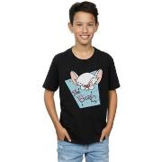 T-shirt enfant Animaniacs BI6284