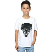 T-shirt enfant Dc Comics BI15816