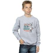 Sweat-shirt enfant Dessins Animés BI22585