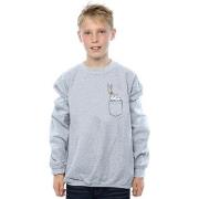 Sweat-shirt enfant Dessins Animés BI23038