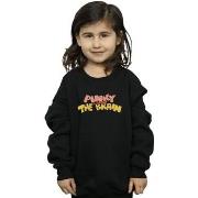 Sweat-shirt enfant Animaniacs BI6075