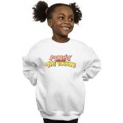 Sweat-shirt enfant Animaniacs BI6075