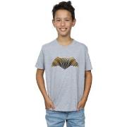 T-shirt enfant Dc Comics BI21817