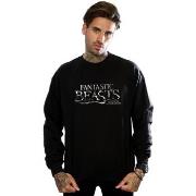 Sweat-shirt Fantastic Beasts BI23302