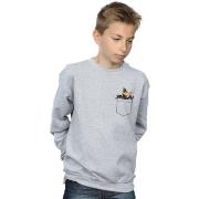 Sweat-shirt enfant Dessins Animés BI23055