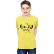 T-shirt enfant Disney The Lion King