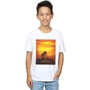 T-shirt enfant Disney The Lion King