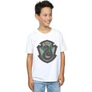 T-shirt enfant Harry Potter BI20270