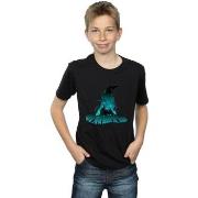 T-shirt enfant Harry Potter BI20339