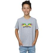 T-shirt enfant Harry Potter Snitch Wings Pastels