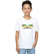 T-shirt enfant Harry Potter Snitch Wings Pastels
