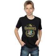 T-shirt enfant Harry Potter Quidditch Crest